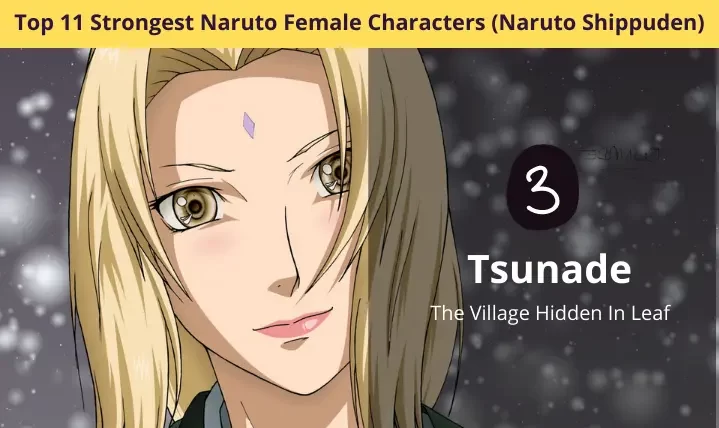 Tsunade (The Village Hidden In Leaf)