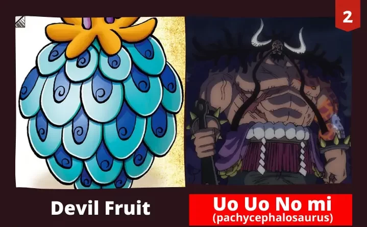 Top 10 Strongest Devil Fruits and Their Users Ranked In One Piece