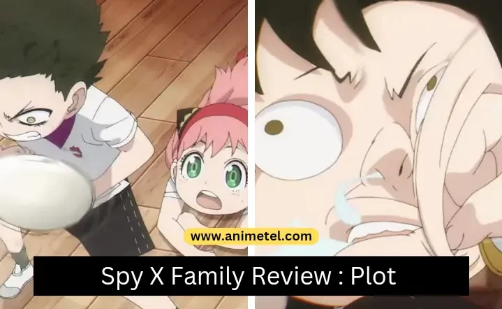 Everything About Spy X Family: Detailed Review 2022