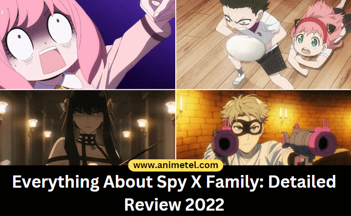 Everything About Spy X Family (1)