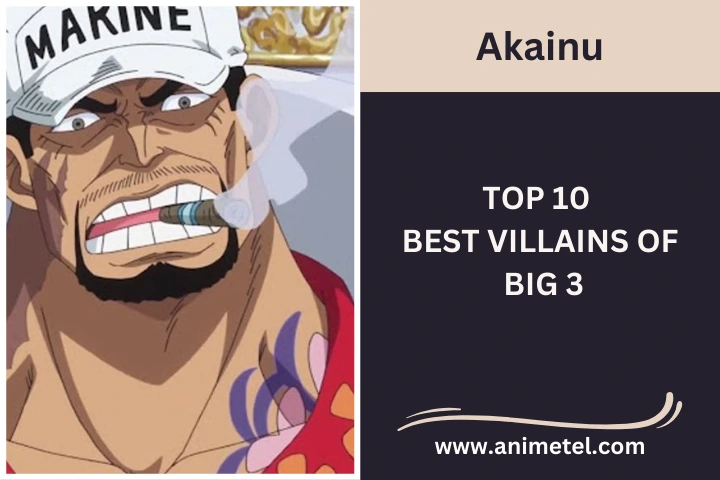 Akainu One Piece