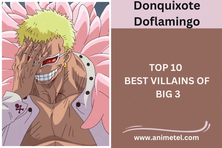 Donquixote Doflamingo