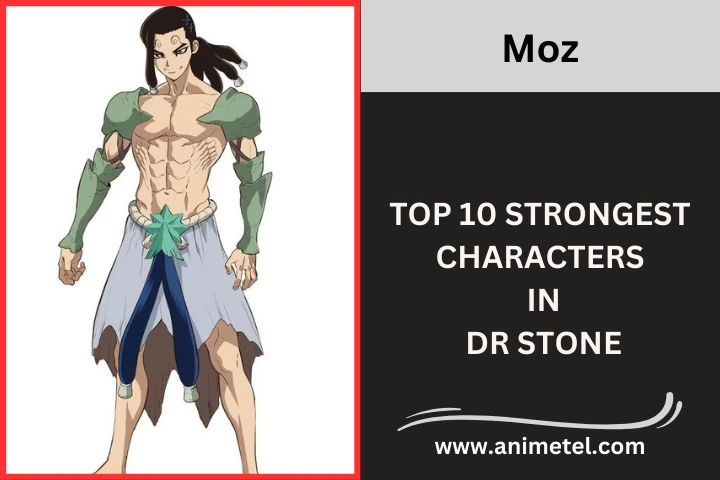 Moz Dr. Stone