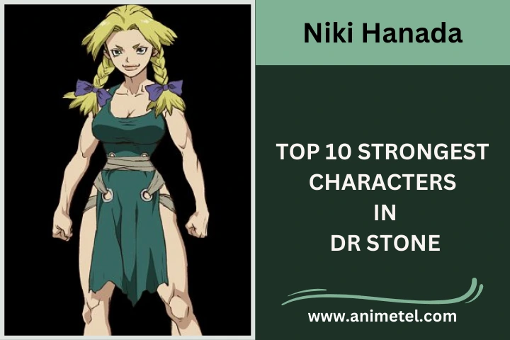 Niki Hanada Dr. Stone