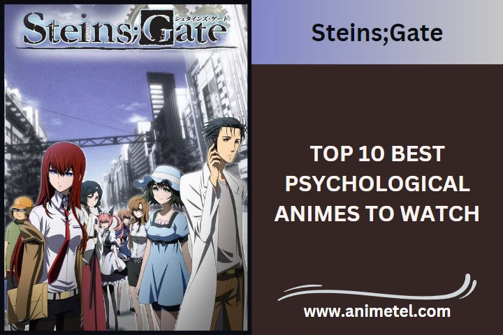 Steins;Gate