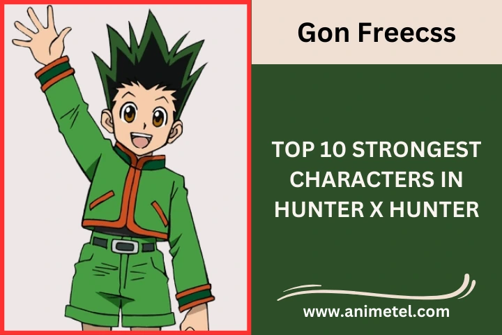 Gon Freecss Hunter x Hunter