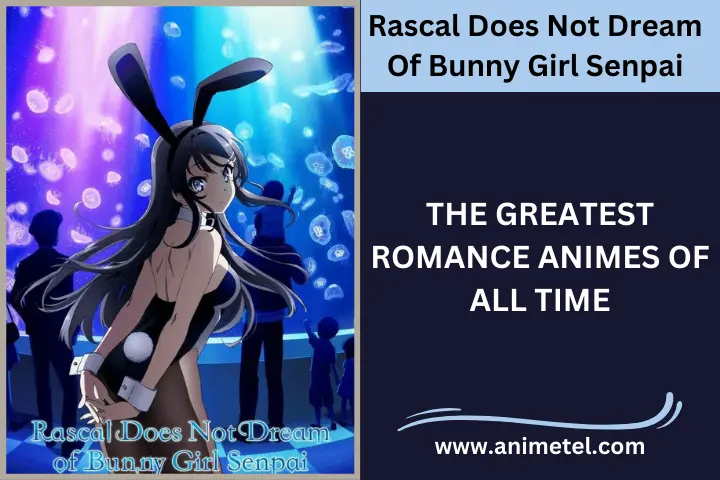 Rascal Does Not Dream Of Bunny Girl Senpai